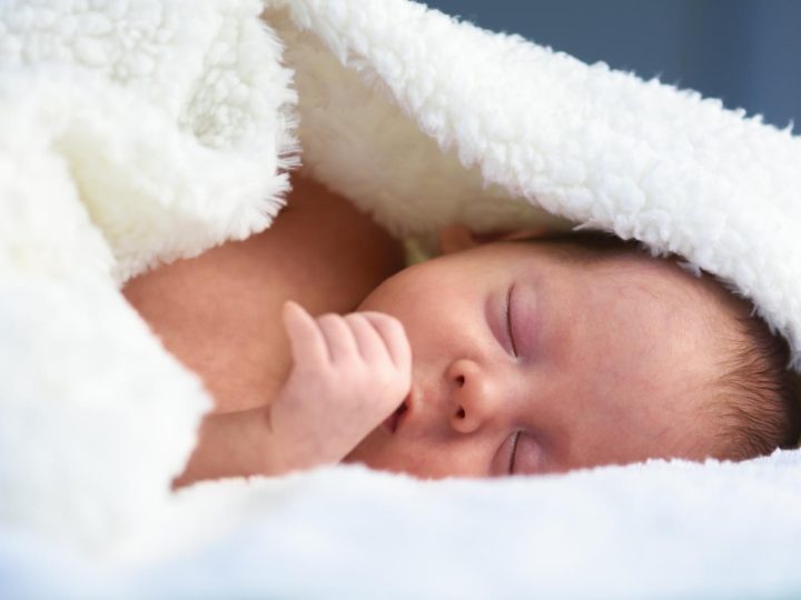 Amone: l’origine e il significato di questo misterioso nome